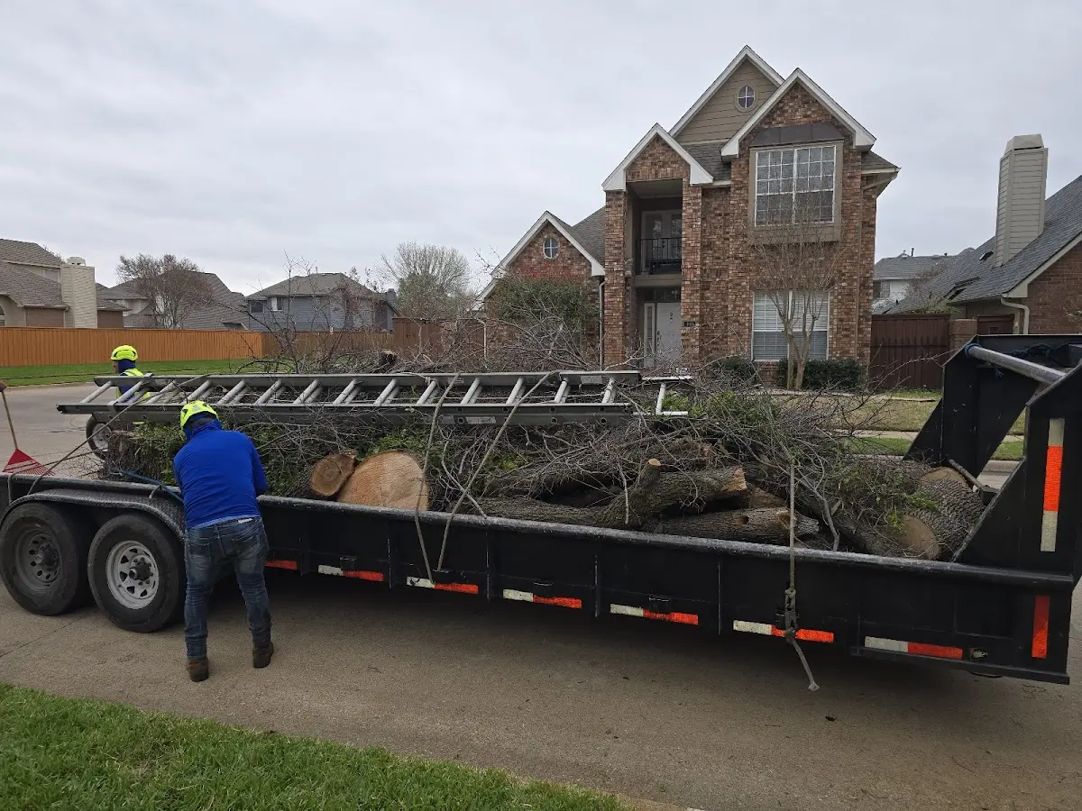 Expert Tree Removal with proper safety equipment in Worthville